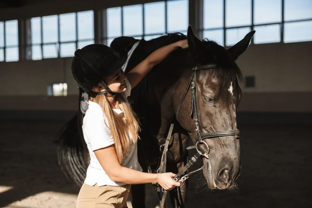 Equine Veterinarian in Griswold, CT Equine Veterinarian in Griswold, CT